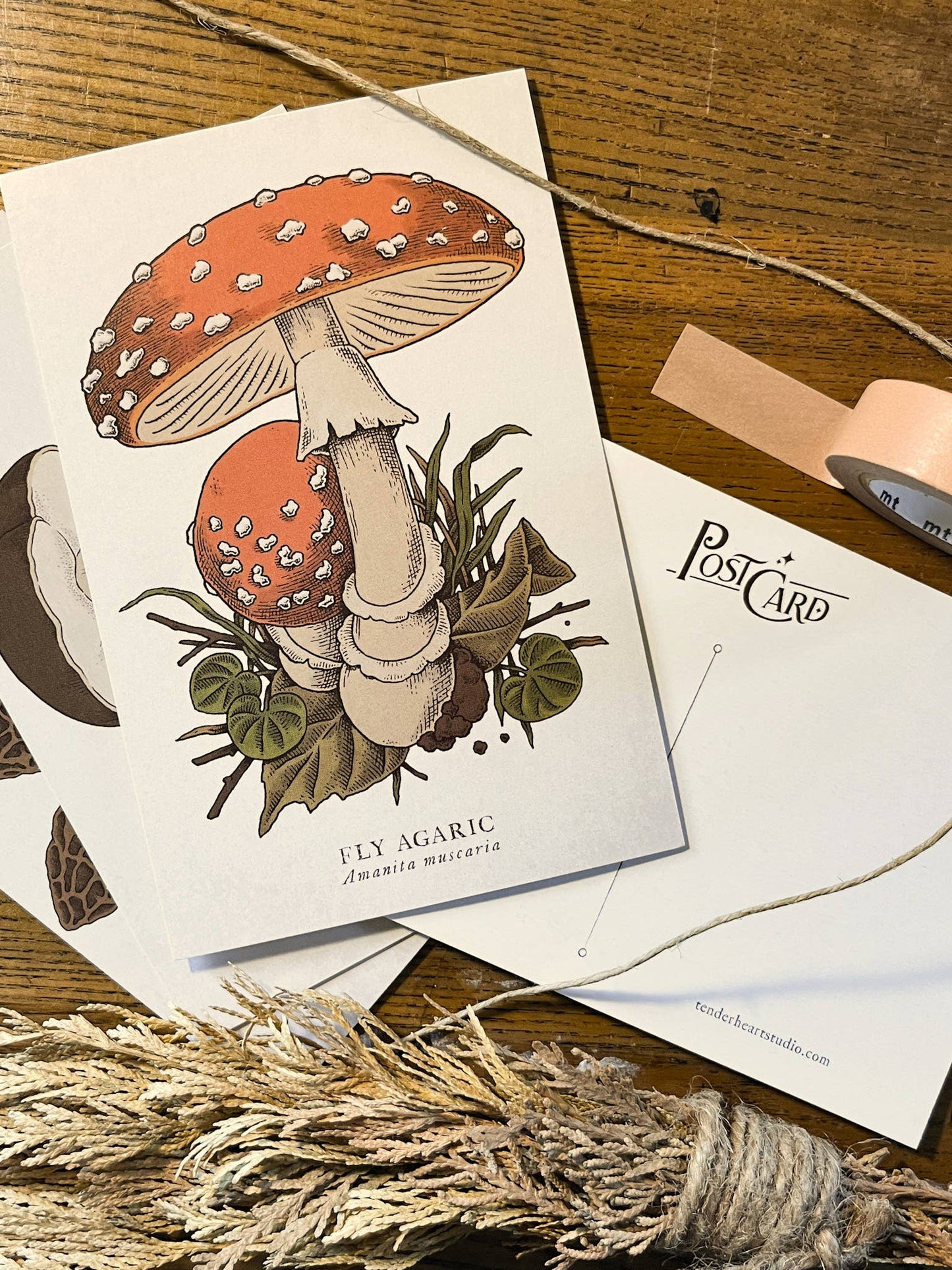 Mushroom Postcard Set