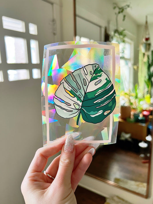 Variegated Monstera Suncatcher Window Decal