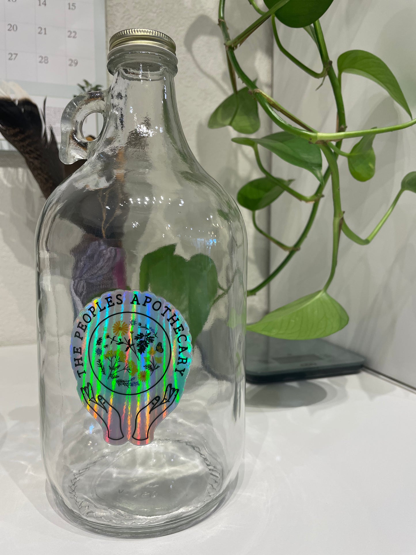 Gallon Jars