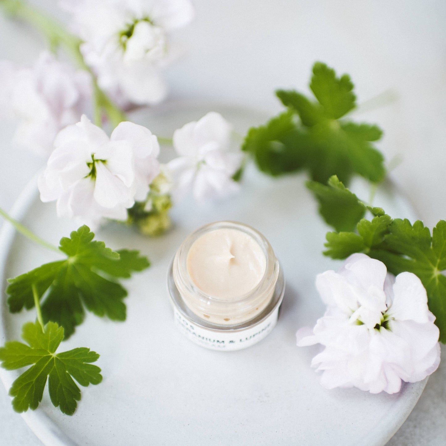 Geranium & Lupine Eye Cream
