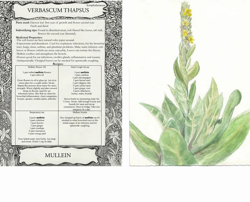 Tularosa Herbal Greeting Cards