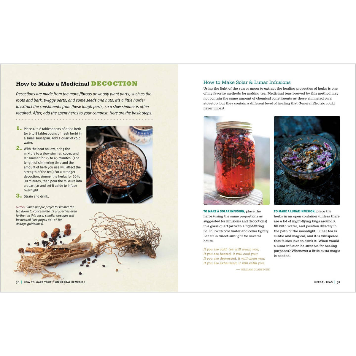 Rosemary Gladstar's Medicinal Herbs- A Beginner's Guide