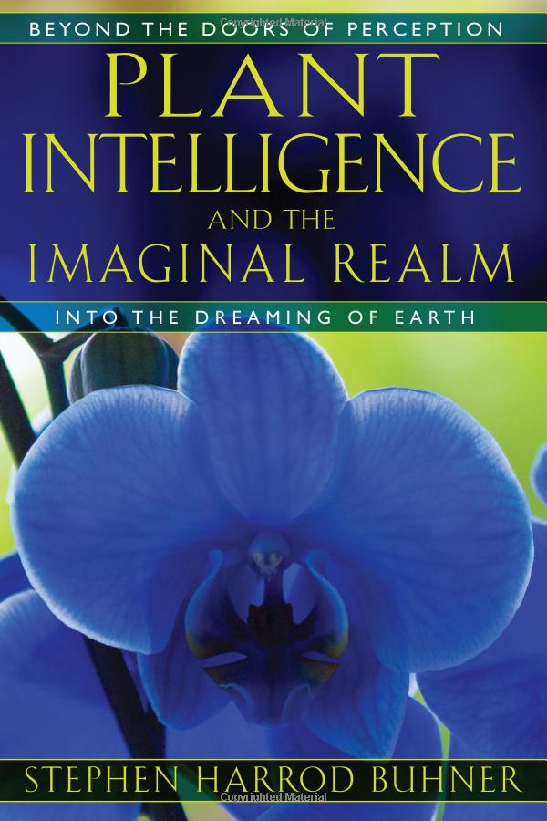 Plant Intelligence and the Imaginal Realm into the Dreaming of the Earth