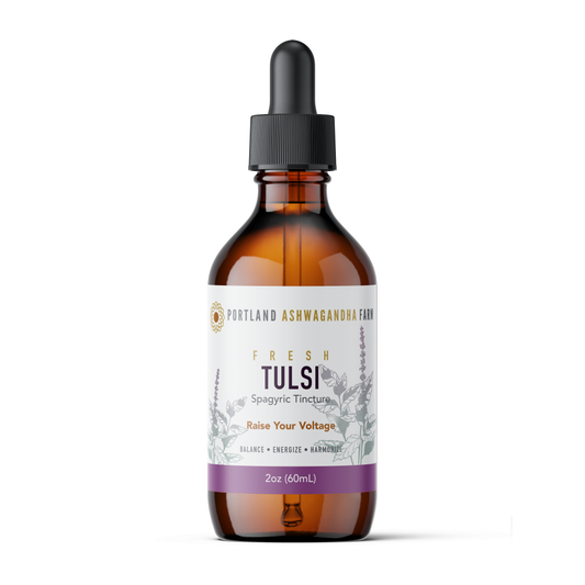 Tulsi - Fresh Spagyric Tincture: 2oz