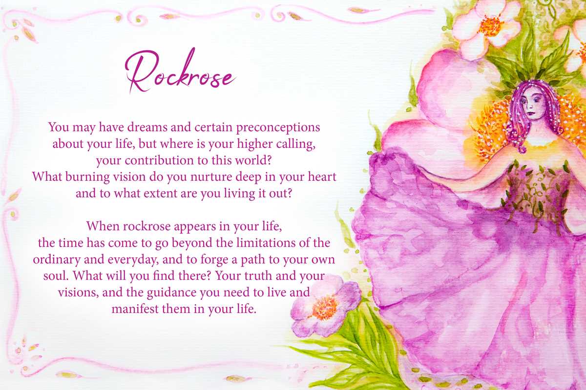 Essential Oils Oracle Cards by Dennis Moeck