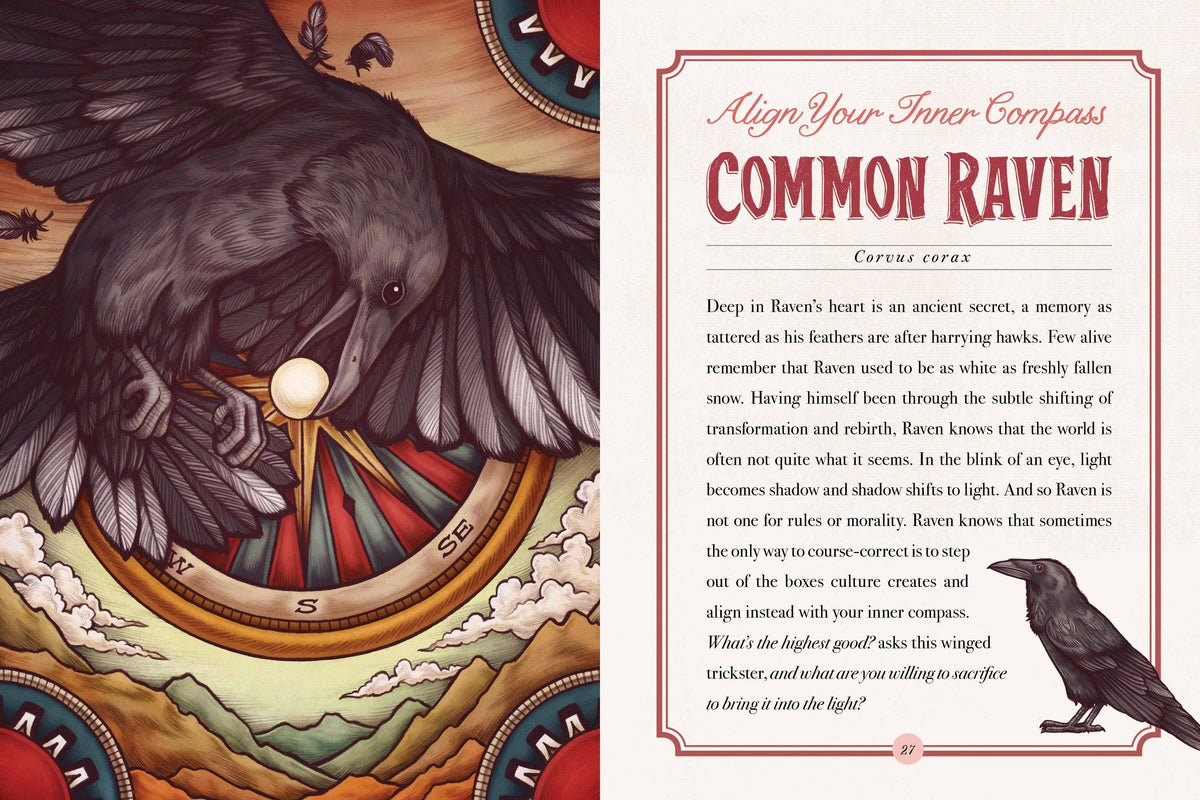 The Illustrated Bestiary: book and deck