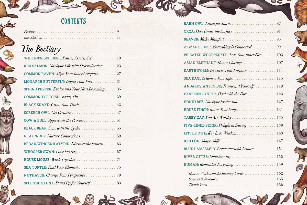 The Illustrated Bestiary: book and deck