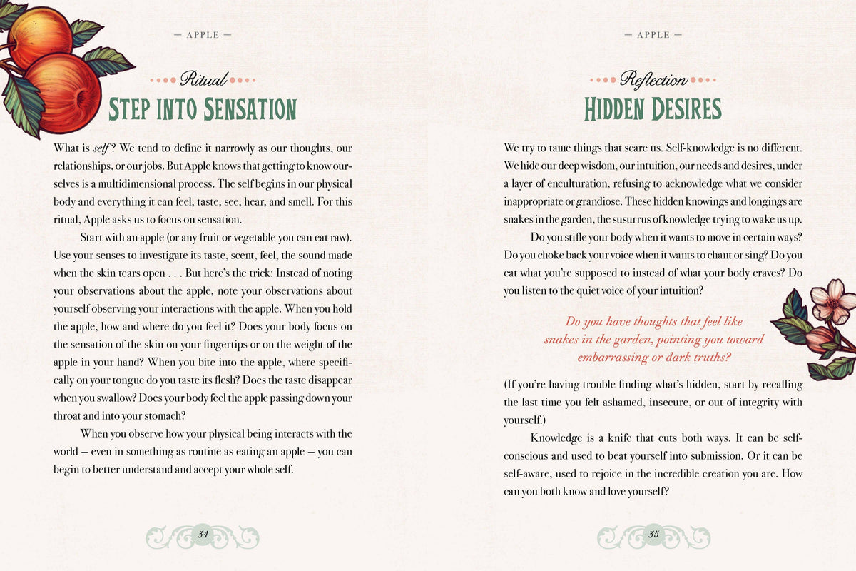 The Illustrated Herbiary Book & Deck by Maia Toll