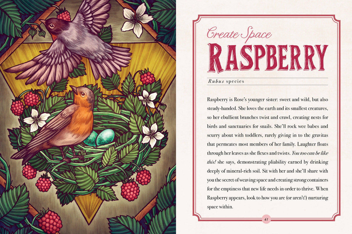 The Illustrated Herbiary Book & Deck by Maia Toll