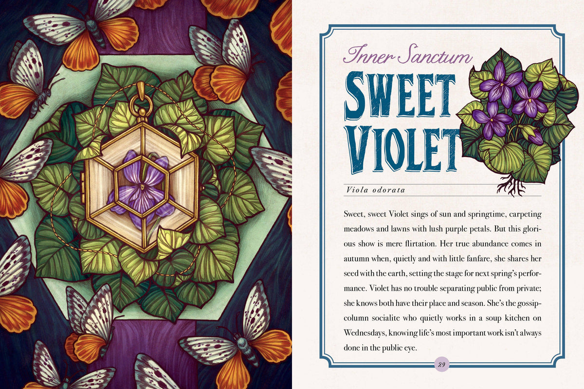 The Illustrated Herbiary Book & Deck by Maia Toll