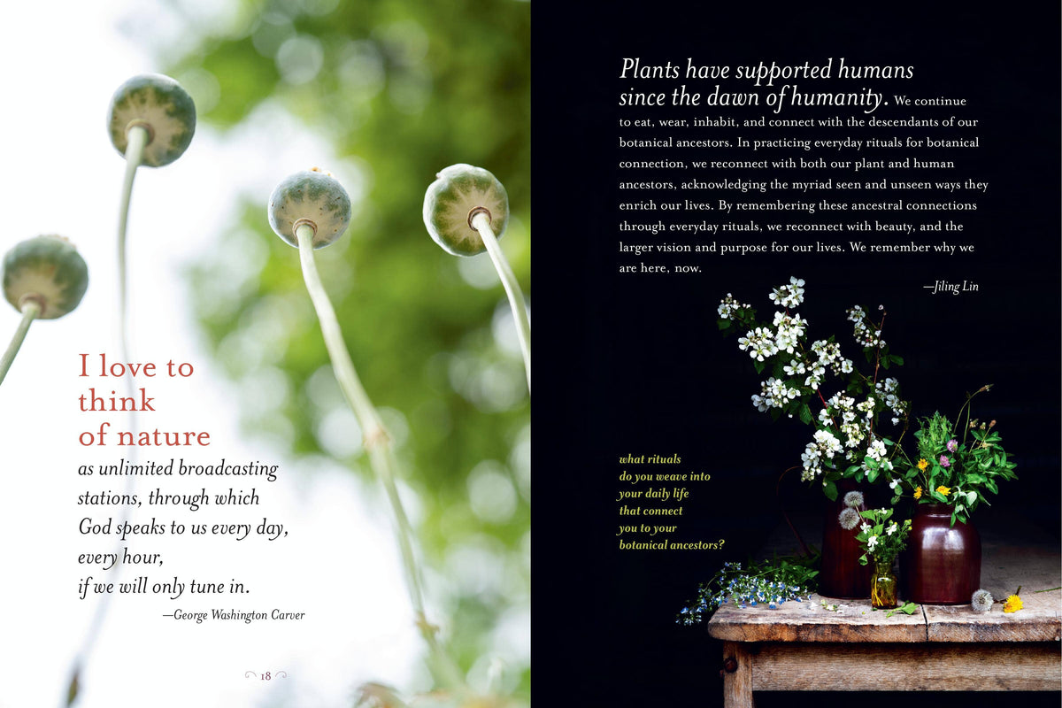The Generosity Of Plants: gathered by Rosemary Gladstar