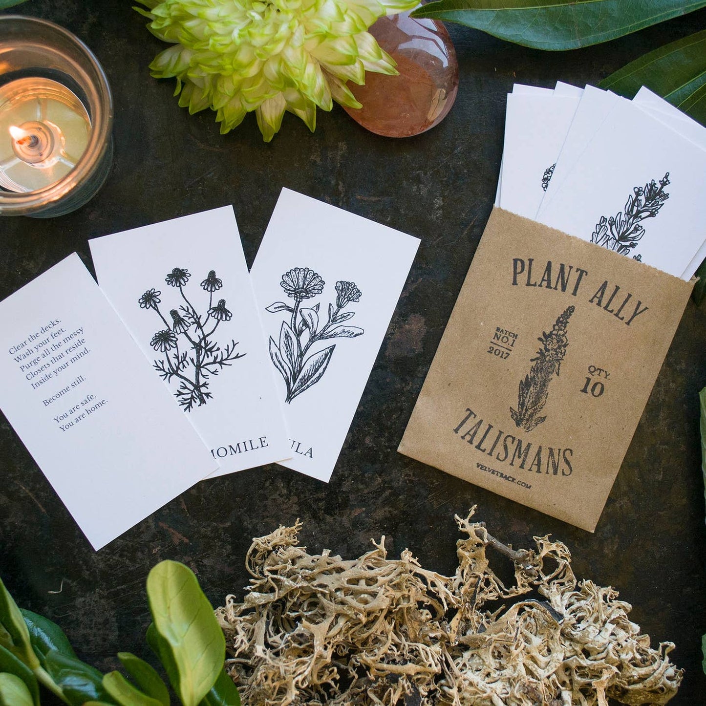 Plant Ally Talisman Cards Vol 1