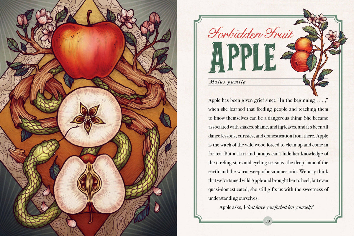 The Illustrated Herbiary Book & Deck by Maia Toll