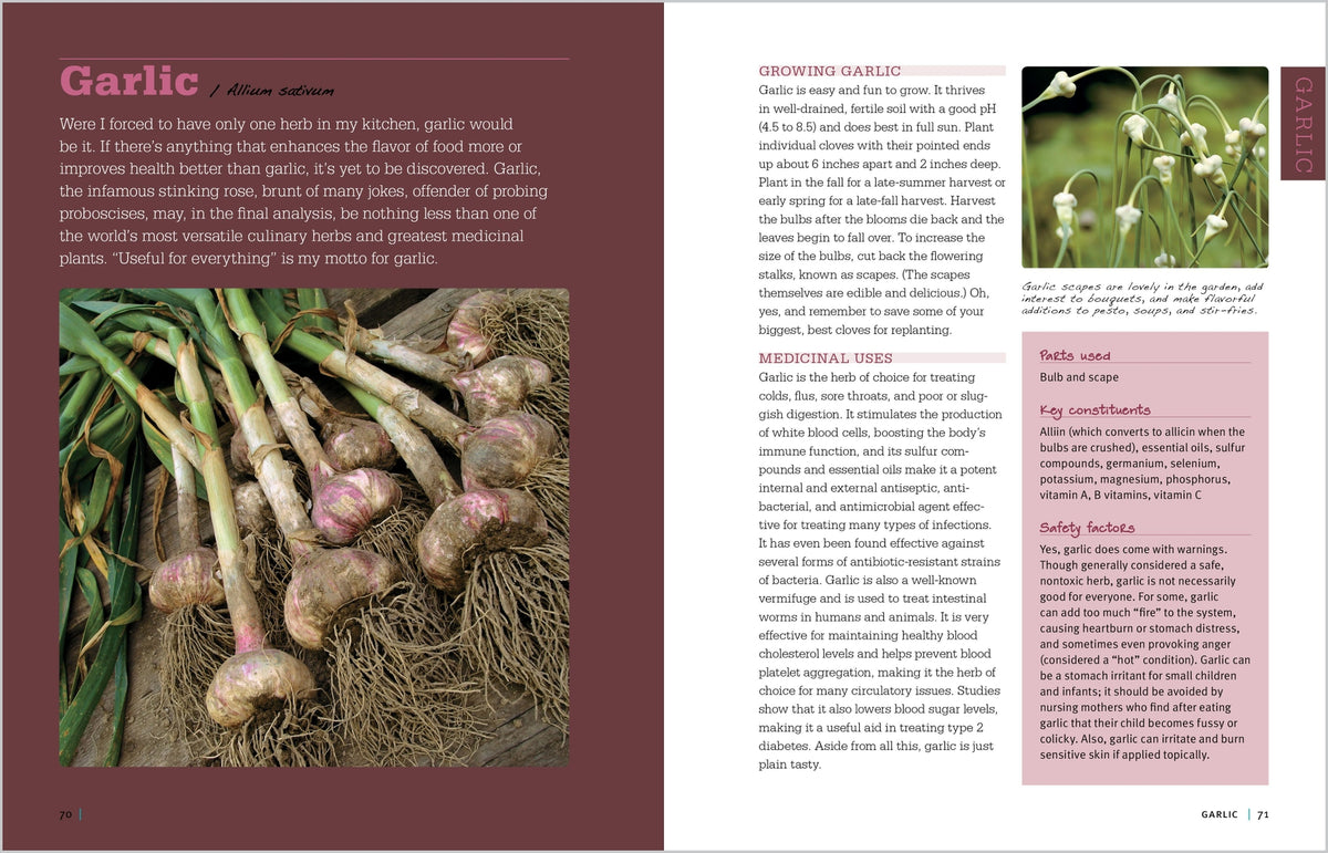 Rosemary Gladstar's Medicinal Herbs- A Beginner's Guide