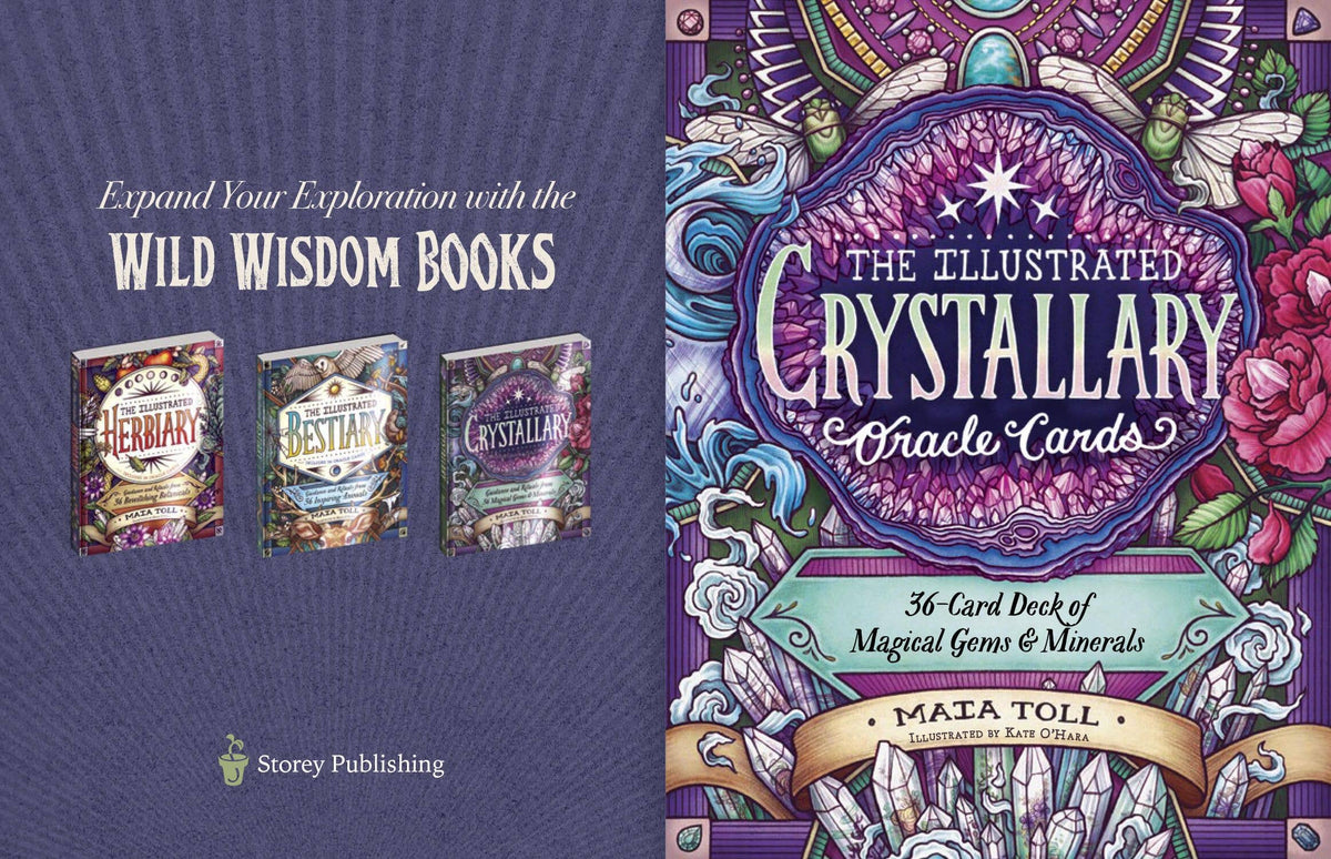 The Illustrated Crystallary Oracle Cards