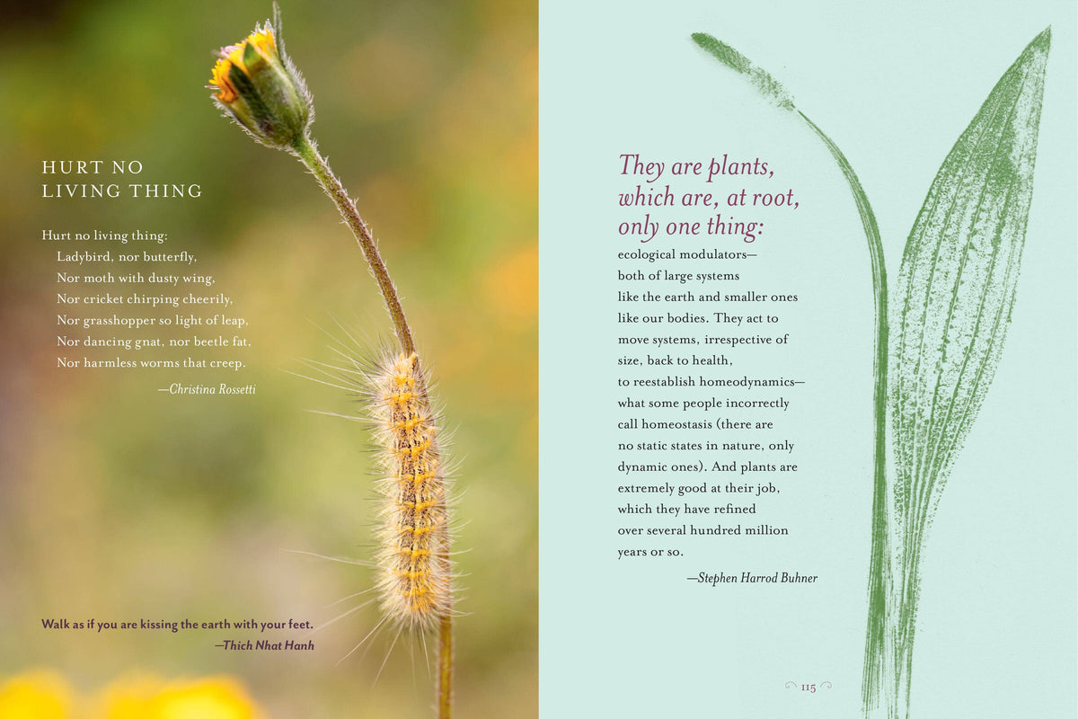 The Generosity Of Plants: gathered by Rosemary Gladstar