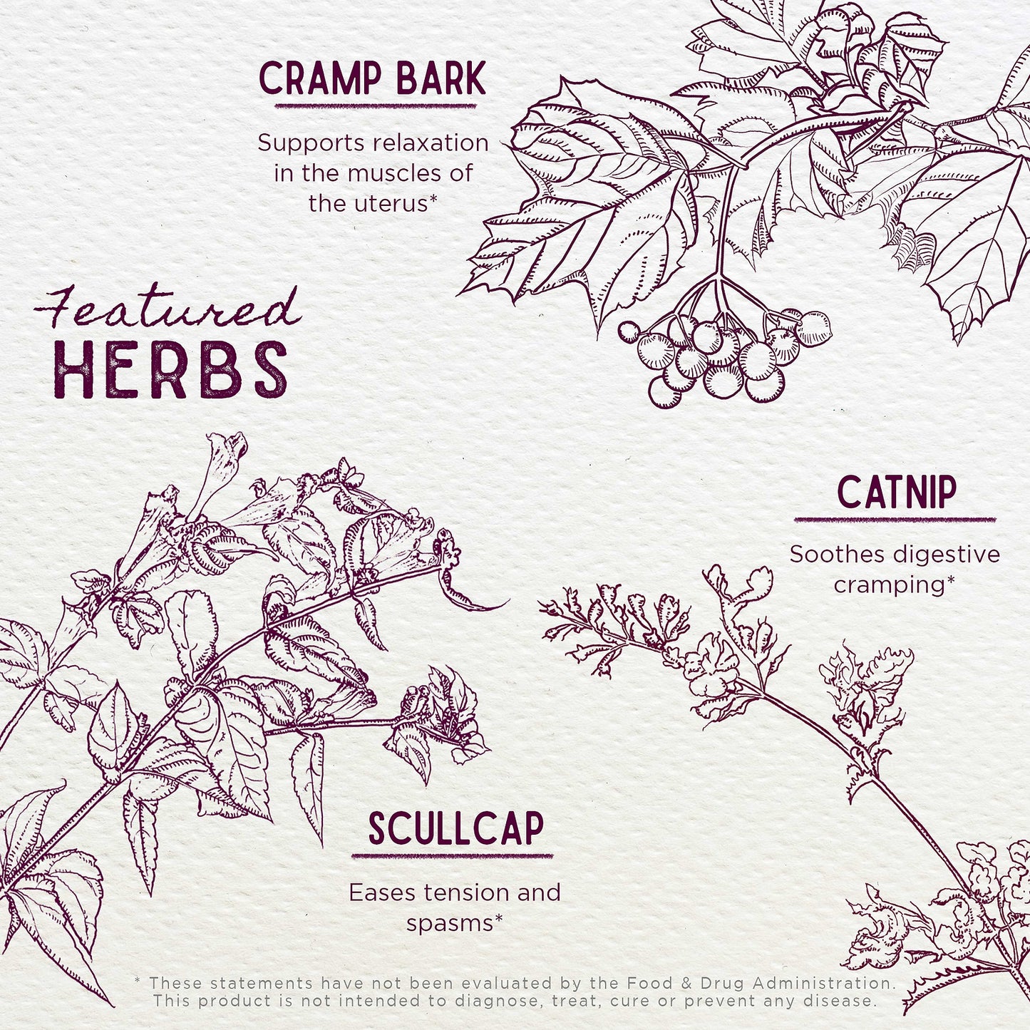 Cramp Release Menses Soother Tincture