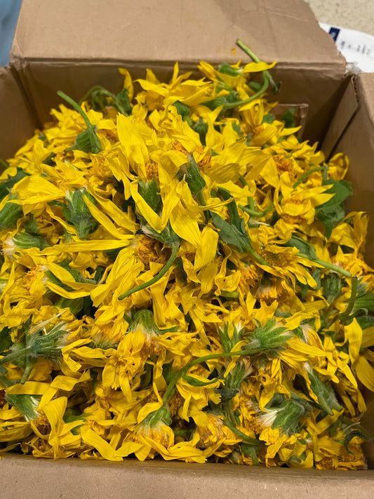 Arnica Liniment