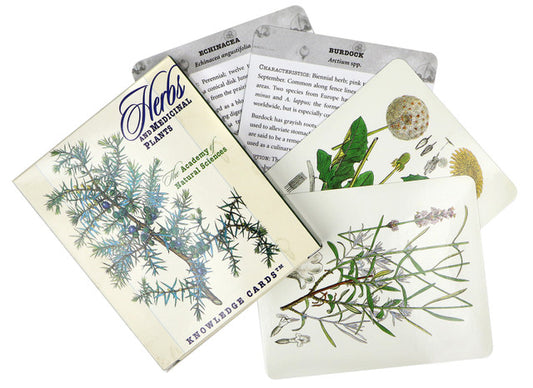 Herbs and Medicinal Plants knowledge Cards