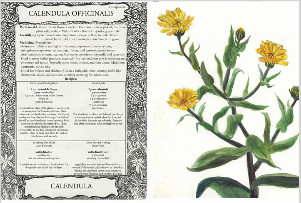 Tularosa Botanicals Herbal Flashcards