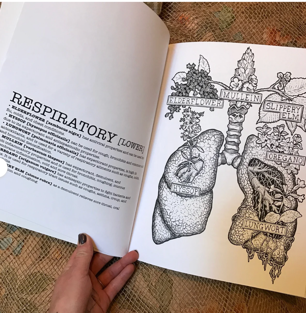 The Herbaceous Human Coloring Book