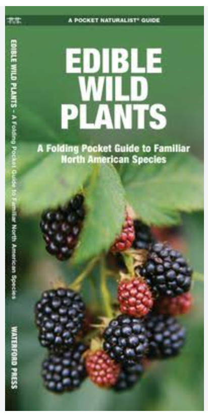 Edible Wild Plants; folding pocket guide to familiar North American species