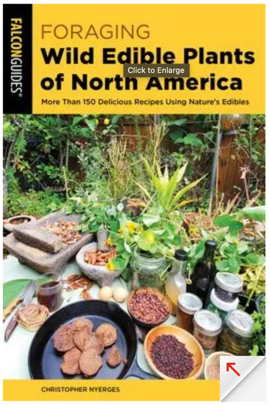 Foraging; Wild Edible Plants of North America: More than 150 Delicious Recipes Using Nature's Edibles