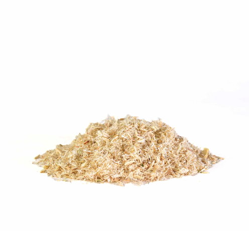 Astragalus Root