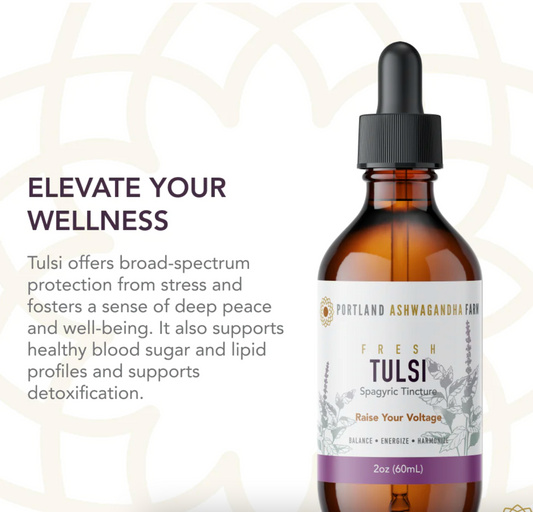 Tulsi Spagyric Tincture 2oz