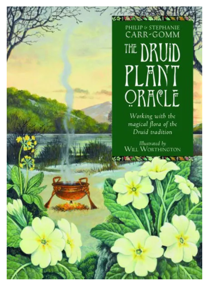 Druid Plant Oracle: Working with the Magical Flora of the Druid Tradition (36 Cards and 144 Page Guidebook)