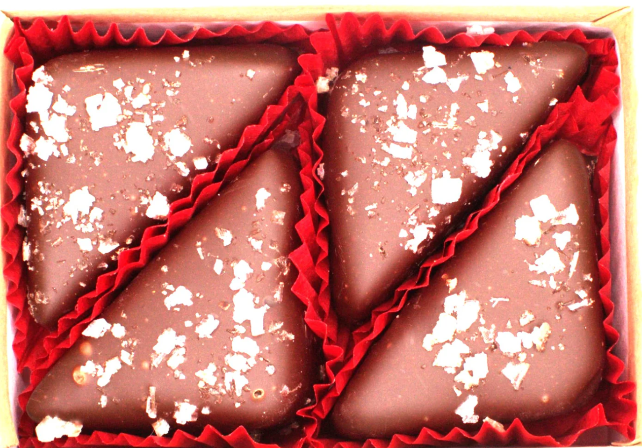 Chocolate Truffle Triangles (single)