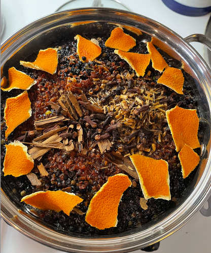 Winter Medicine Making; Elderberry Syrup w/Dr. Ashley