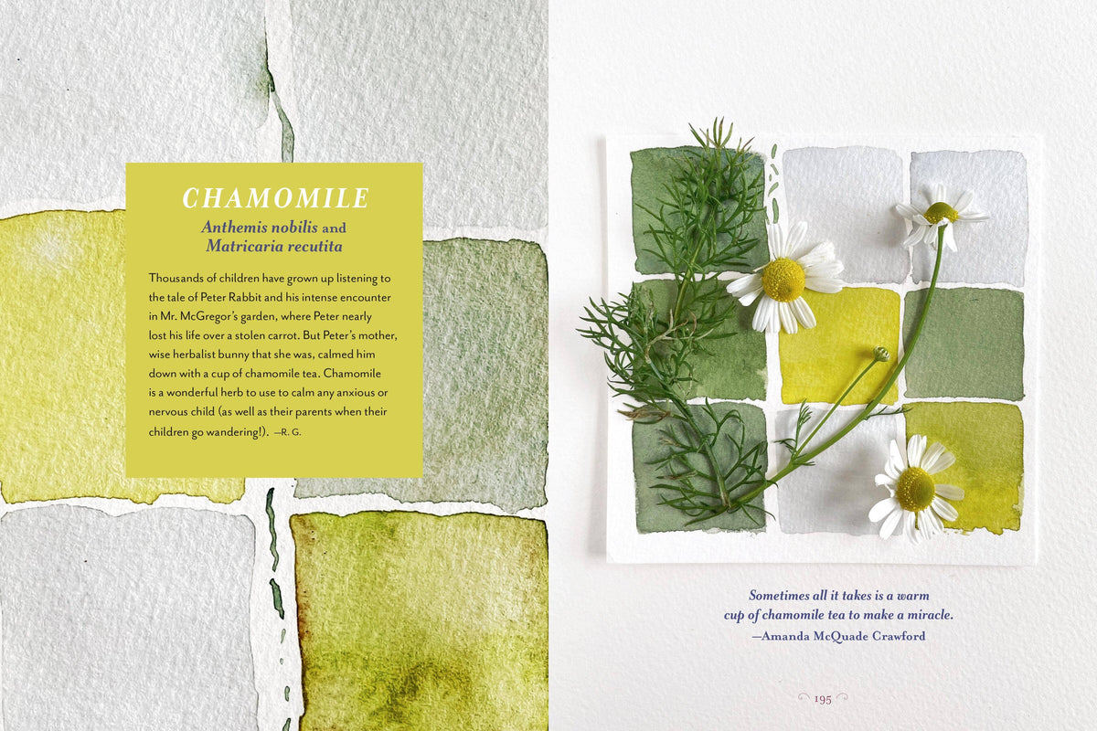 The Generosity Of Plants: gathered by Rosemary Gladstar