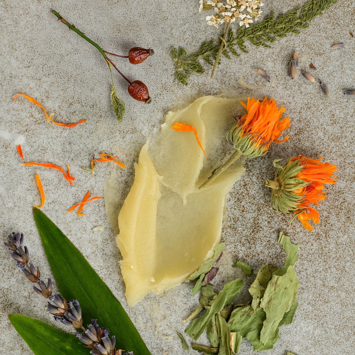 Oregon Blossom Balm