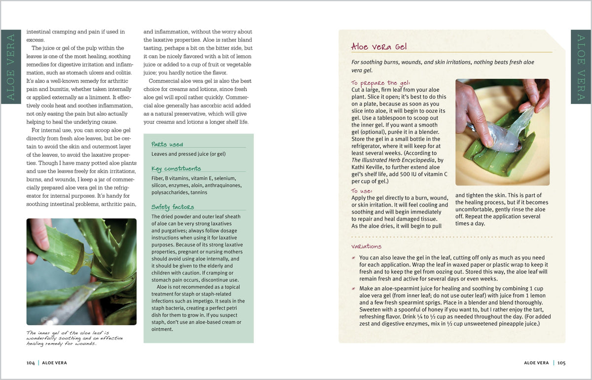 Rosemary Gladstar's Medicinal Herbs- A Beginner's Guide