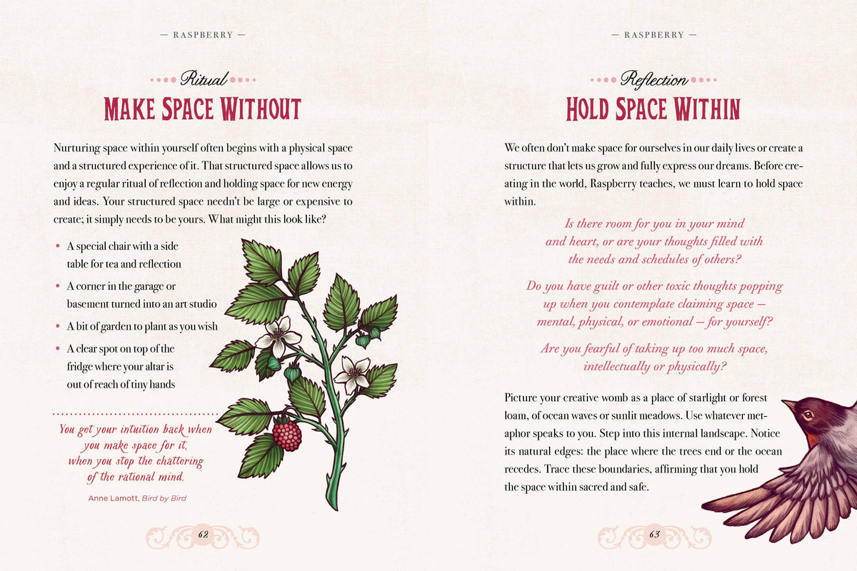 The Illustrated Herbiary Book & Deck by Maia Toll