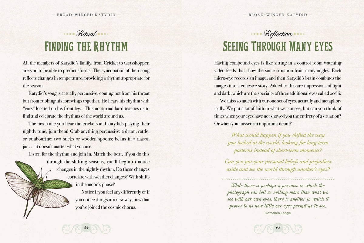 The Illustrated Bestiary: book and deck