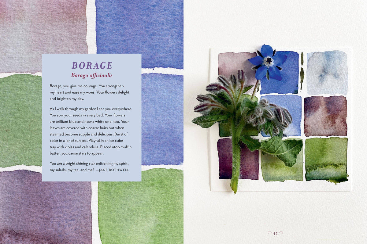The Generosity Of Plants: gathered by Rosemary Gladstar