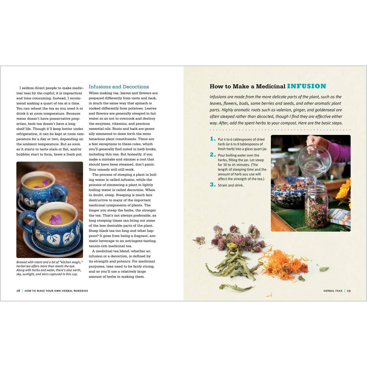 Rosemary Gladstar's Medicinal Herbs- A Beginner's Guide