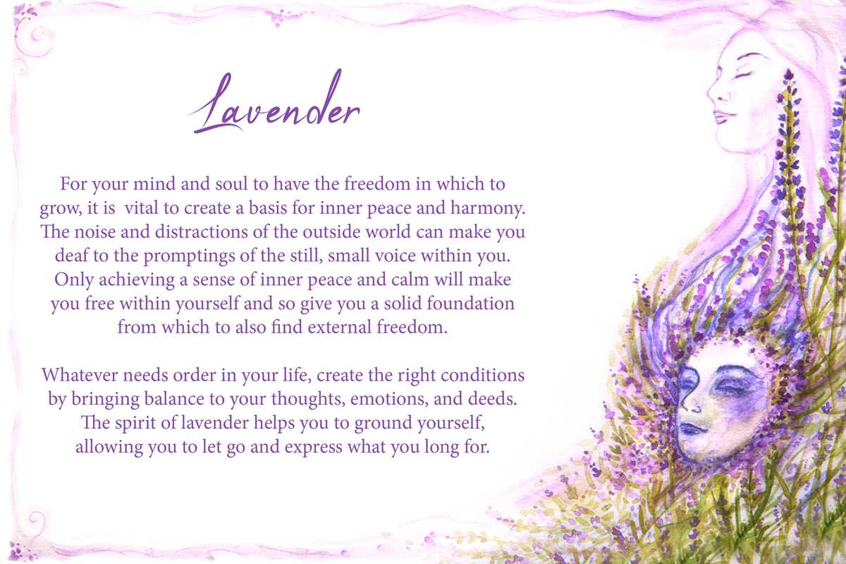 Essential Oils Oracle Cards by Dennis Moeck