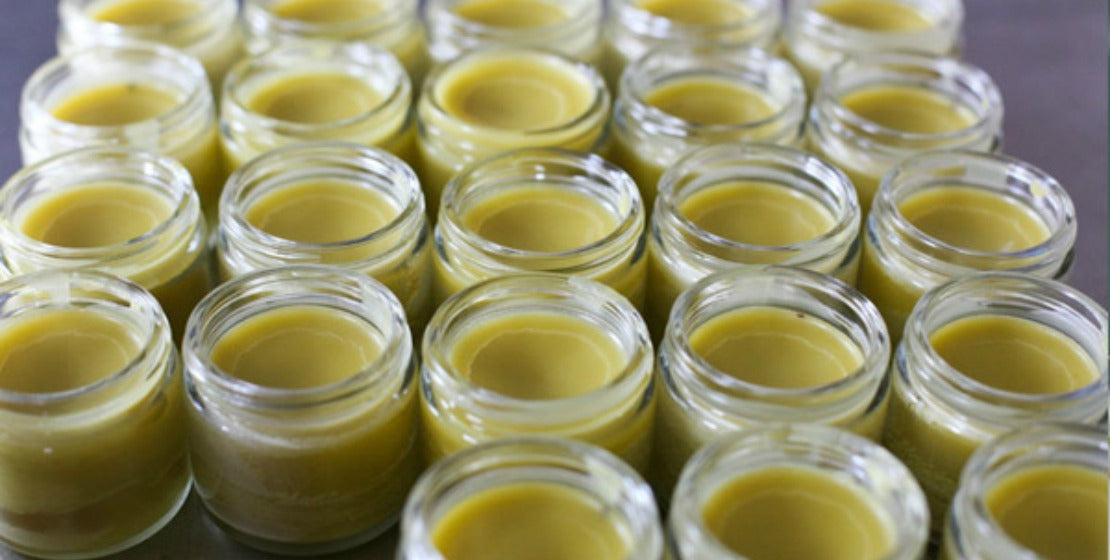 Herbal Medicine Making Fall Series: Herbal Salves w/Dr. Ashley