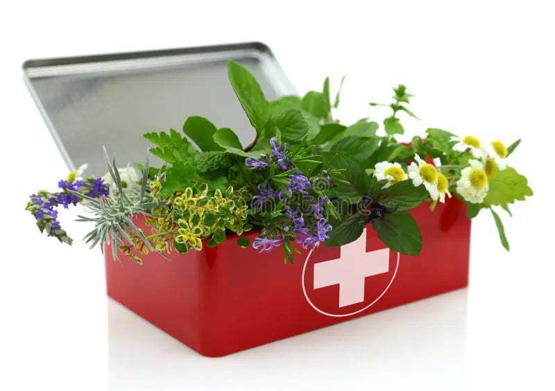 ASSEMBLE!: Creating Herbal Care Kits for Community