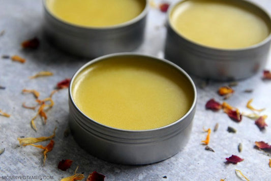 Herbal Medicine Making Fall Series: Herbal Salves w/Dr. Ashley