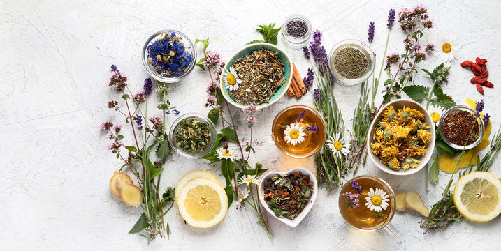 Herbal Medicine Making Fall Series: Formulating Medicinal Teas w/Dr. Ashley