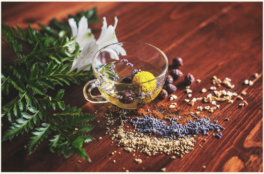 Herbal Medicine Making Fall Series: Formulating Medicinal Teas w/Dr. Ashley