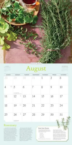 Rosemary Gladstar's Herbs Wall Calendar 2024: Recipes and Remedies for Health and Home