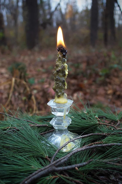 Samhain Mullein Torch Workshop