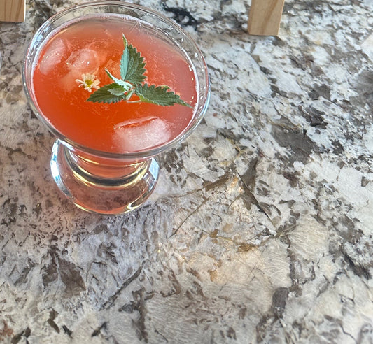 Sip Summer! Stone Fruit Shrubs for All Seasons with Dr. Ashley