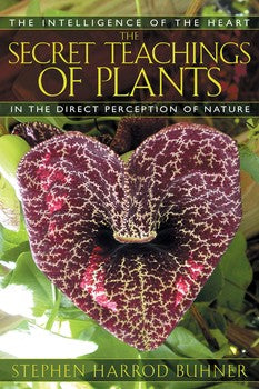 The Secret Teachings of Plants;  In the Direct Perception of Nature