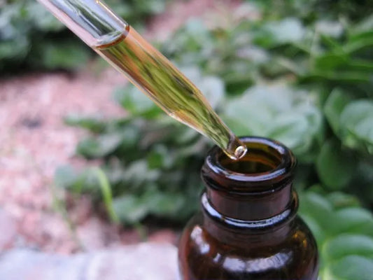 Herbal Medicine Making Fall Series: Herbal Tinctures w/Dr. Ashley